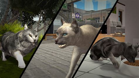 Download And Play Ultimate Cat Simulator On Pc And Mac Emulator