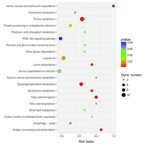 Kegg Pathway Analysis Of The Predicted Lncrnas Target Genes Top