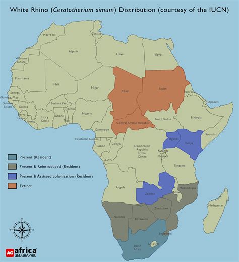 white-rhino-distribution-3 - Africa Geographic