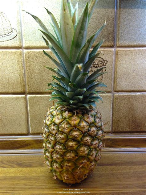 Ananas / Früchte und Gemüse - Roh Und Froh