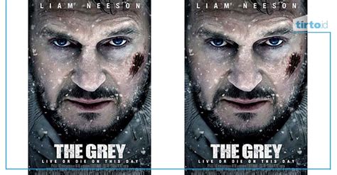 Sinopsis Film The Grey Bioskop Trans Tv Liam Neeson Vs Serigala