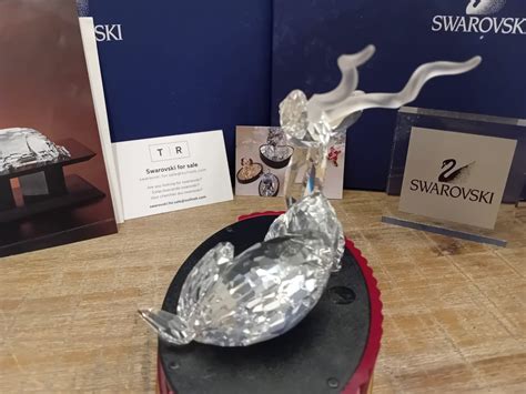 Beeldje Swarovski Scs Annual Edition Kudu Boxed