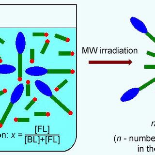 A Novel Method Of One Pot Microwave Assisted Synthesis Was Employed To