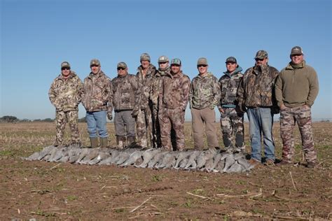 Guided Sandhill Crane Hunts Lubbock Tx Final Flight Guide Service