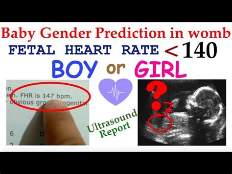 Heart Rate Gender Prediction Fetal Heartbeat Speed Analysis 47 Off