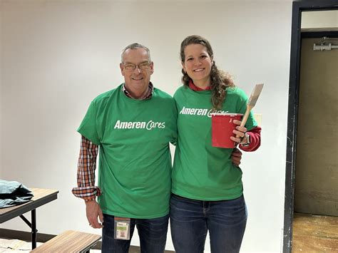 ameren il guest pay 3