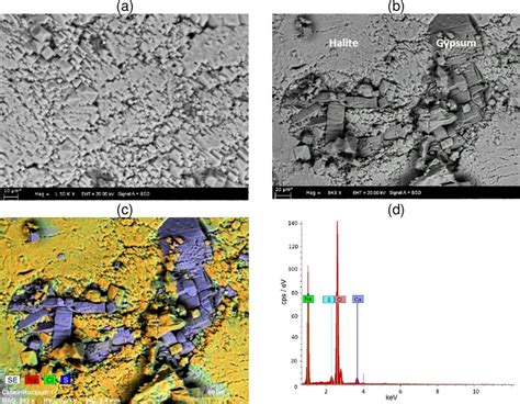 (a, b) Scanning electron microscopy micrographs and (c, d) the chemical ...