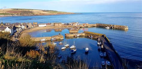 The Harbour - Have Your Say - TheBellman