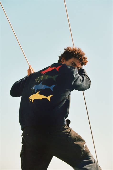 Paul&Shark | alpenite