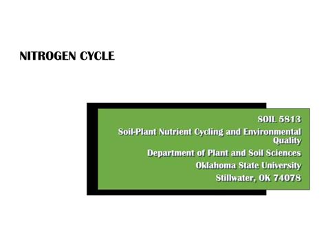 PPT - NITROGEN CYCLE PowerPoint Presentation, free download - ID:9657388 