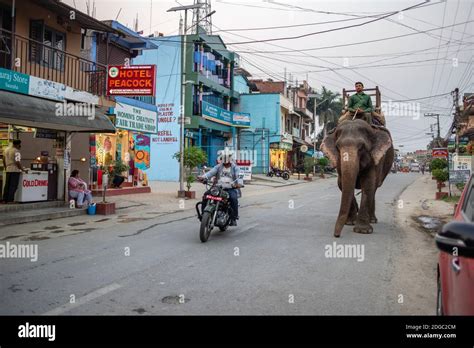 Daily Life in Sauraha, Chitwan National Park, Nepal Stock Photo - Alamy