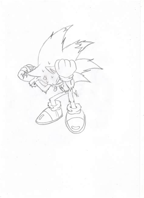 Sonic Into Werehog By Segafan15 On Deviantart