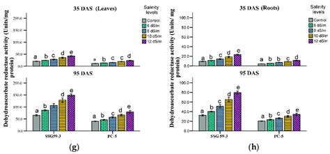 Effect Of Salt Stress On Glutathione Peroxidase Gpx A B