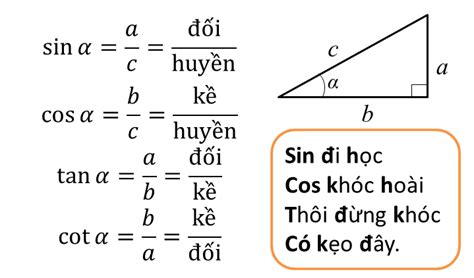 Cos 45 Độ Bằng Bao Nhiêu Khám Phá Giá Trị Và Các Ứng Dụng