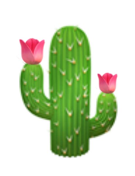 Смайл кактус (47 фото)