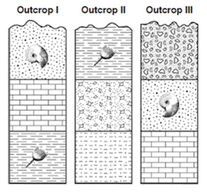Correlation And Index Fossils Flashcards Quizlet