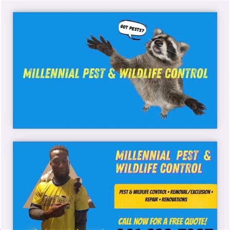 Millennial Pest And Wildlife Control Services Pllc Memphis Tn Nextdoor