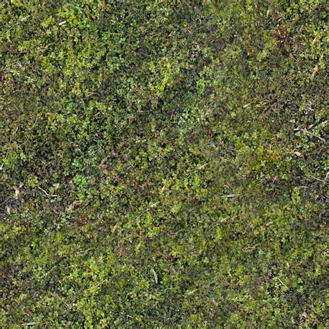 Mossy Rock Texture Seamless