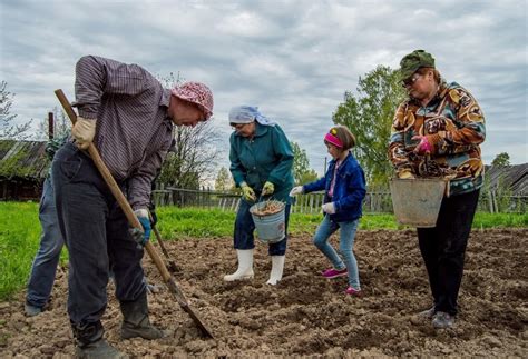 Фото людей на огороде (93 фото) » НА ДАЧЕ ФОТО