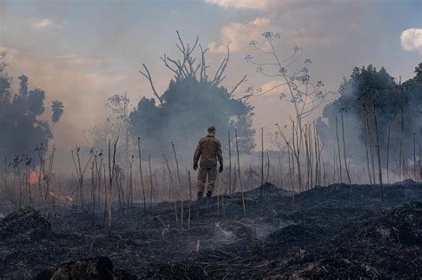 Pol Cia Federal Faz Opera O Contra Inc Ndios Criminosos No Pantanal