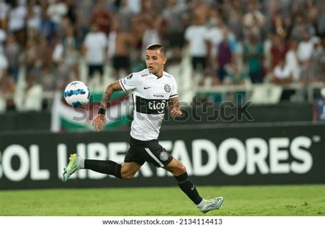 642 Olimpia Club Images, Stock Photos & Vectors | Shutterstock