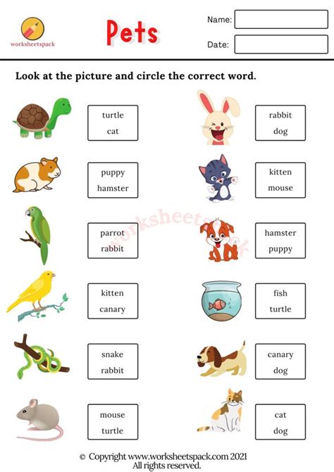 Worksheet With Words And Pictures To Describe Pets