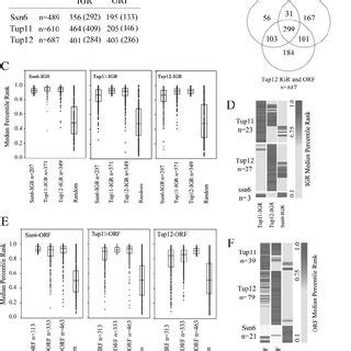 Ssn Tup And Tup Colocalize Within Intergenic Regions And Open