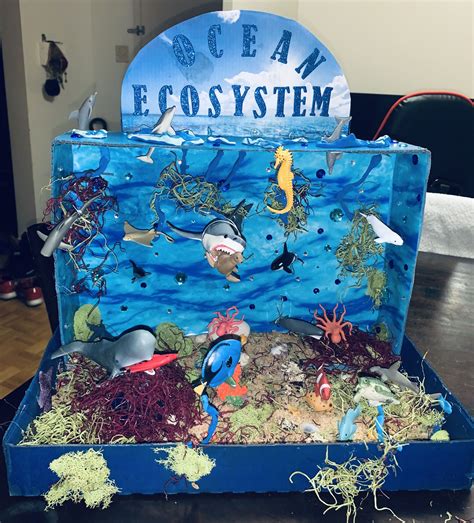 3D Ocean Ecosystem in 2025 | Habitats projects, Ocean projects, Kids