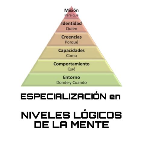 Piramide De Niveles Neurologicos