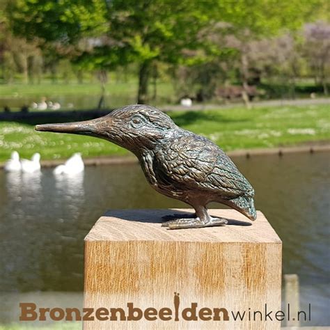 Beeld IJsvogel Brons BBW89003 Met GRATIS Onderhoudsset T W V 24 95