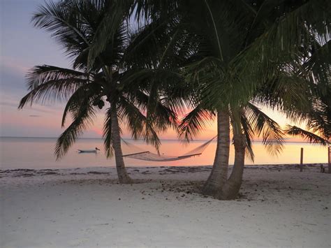 camp david pictures abaco palms properties