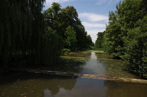 A Green Oasis In The Center Of Brodzian Tren N Regi N