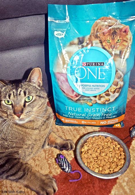 purina one true instinct cat food - natural grain free chicken - Brock ...