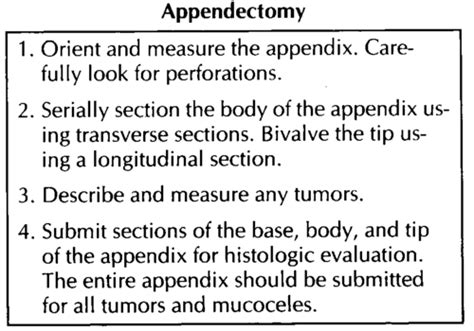 Grossing The Appendix Flashcards Quizlet