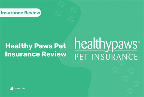 Healthy Paws Pet Insurance Review In 2024 Pros Cons And Verdict Catster