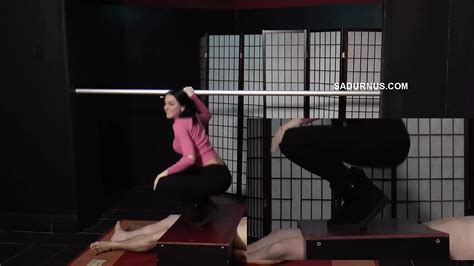 Free Cock Crush Porn Videos Xhamster