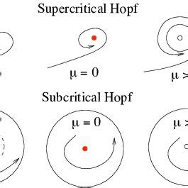 Schematic Presentation Of The Dynamics During The Hopf Bifurcation