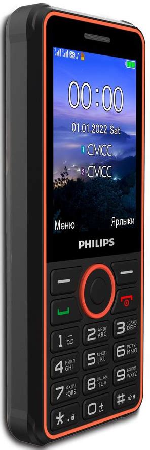Мобильный телефон Philips Xenium E2301 Dual sim Серый: купить по цене 3 ...