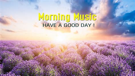 The Best Beautiful Morning Music Wake Up Happy And Positive Energy