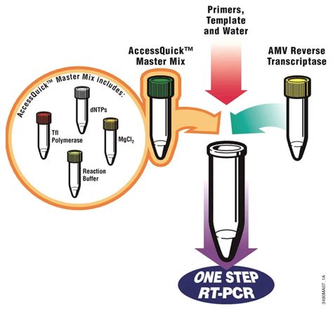 Promega AccessQuick RT PCR System PCR Equipment And Supplies PCR