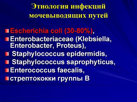 Беременность и инфекции мочевыводящих путей - презентация онлайн