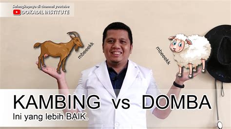 KAMBING Vs DOMBA Siapa Yang TERBAIK Kambing Domba Ternak