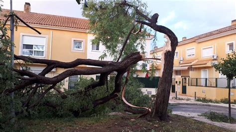 Lluvias En Murcia Hoy Inundaciones Y Destrozos Durante El Episodio De