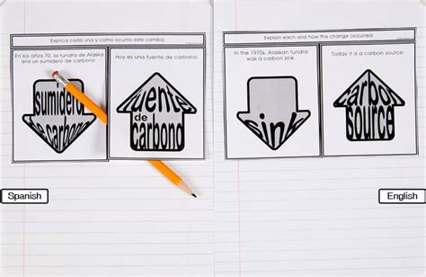 Carbon Cycle: Carbon Sink and Source - dzdownloadablefoldables