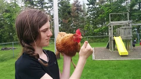 4h Poultry Showmanship Youtube