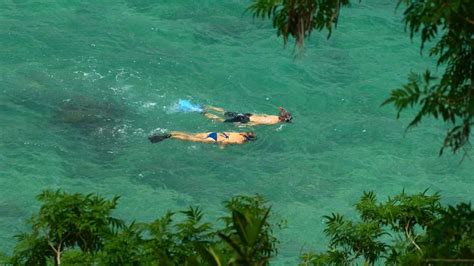 Snorkeling In Negril Jamaica