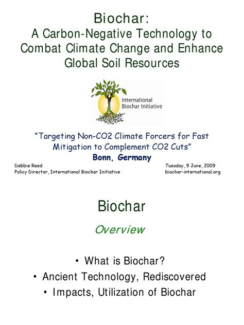 Pdf Ohio Biochar Demonstration Project Dokumentips