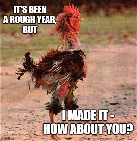 rooster Memes & GIFs - Imgflip