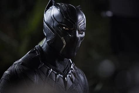 Black Panther Photo Of