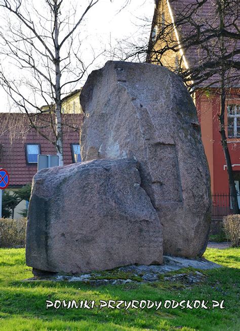 Pomnikowe G Azy Narzutowe W Niemodlinie Pow Opolski Pomniki Przyrody